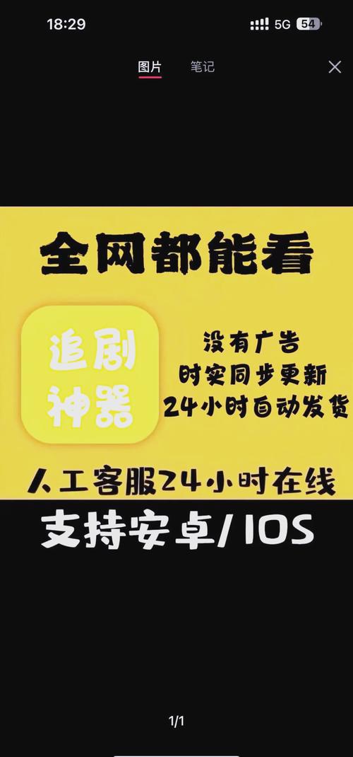 亚洲综合少妇啪的相关介绍
