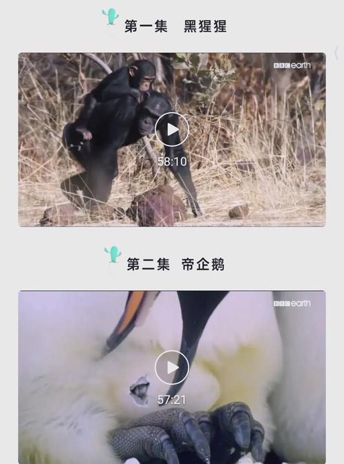 午夜宫影院www9080pco的相关介绍