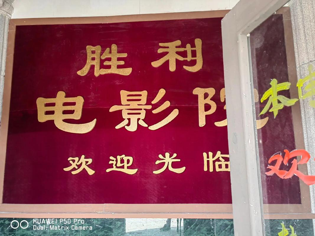 成年女人最新毛片的相关介绍