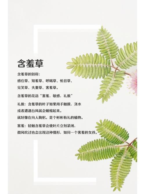国产福利毛片在线看的相关介绍