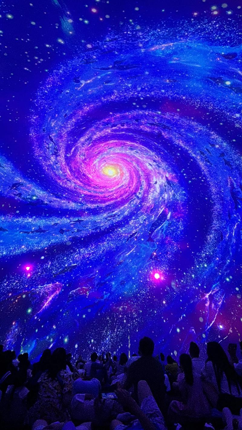 老司机电影院午夜看片的相关介绍