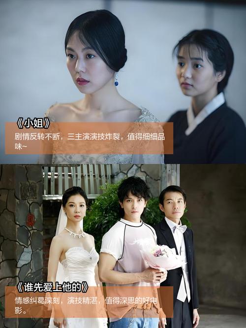 人妻少妇aaaa的相关介绍