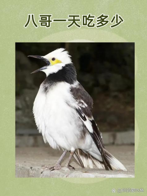 青草影院的相关介绍