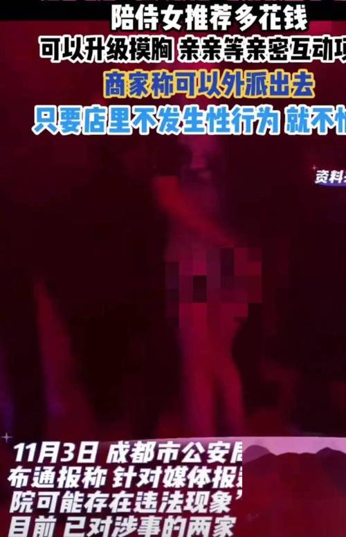 久久久久久久久毛片精品的相关介绍