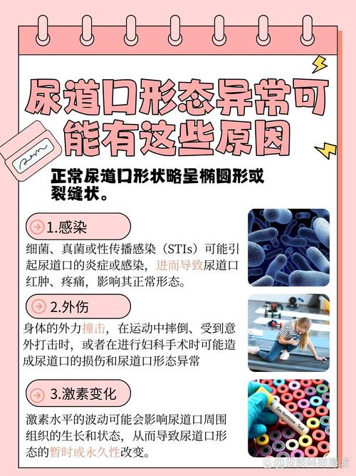 美景之屋2真心影院的相关介绍