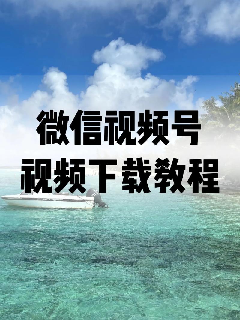 被老师啪啪啪的相关介绍