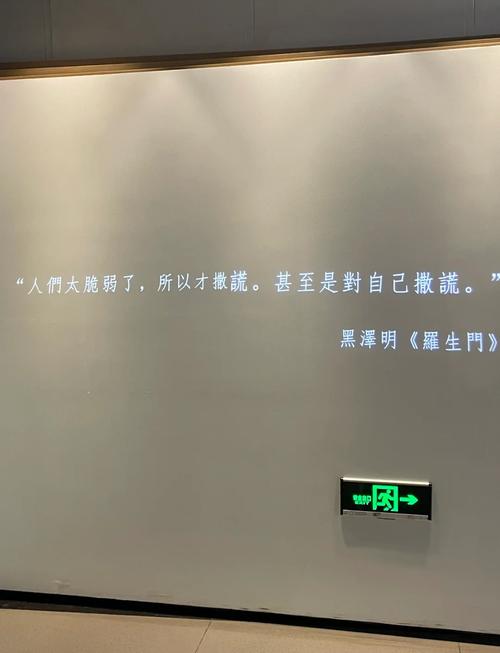 丁香成人影院的相关介绍