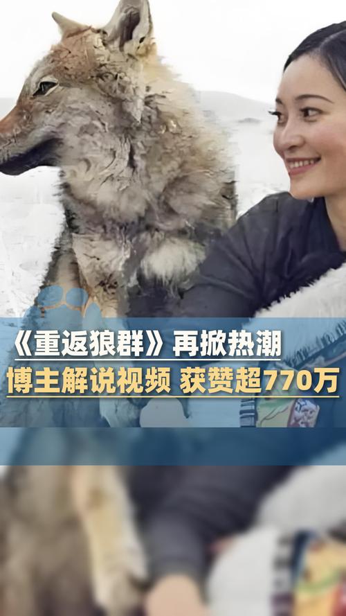 东京精油按摩3的相关介绍