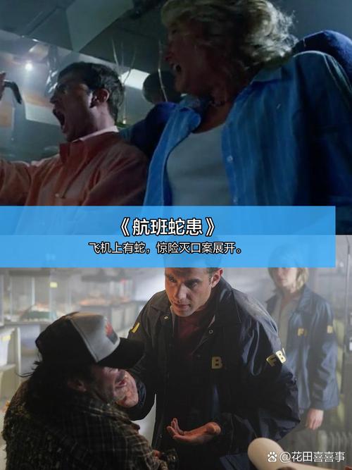 武汉电影院的相关介绍