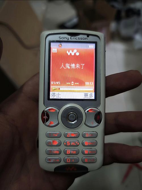 成版人视频app免费的相关介绍