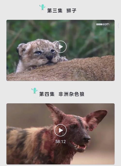 jlzzjlzz亚洲日本少妇的相关介绍
