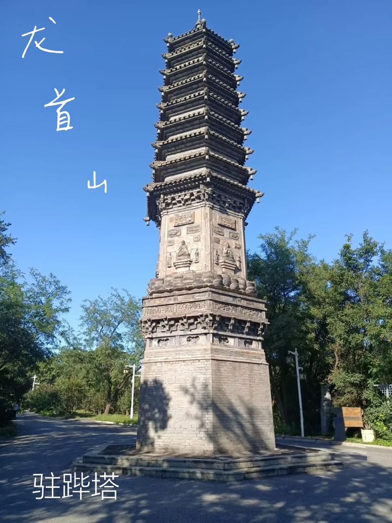 少妇熟女av精品一区二区的相关介绍