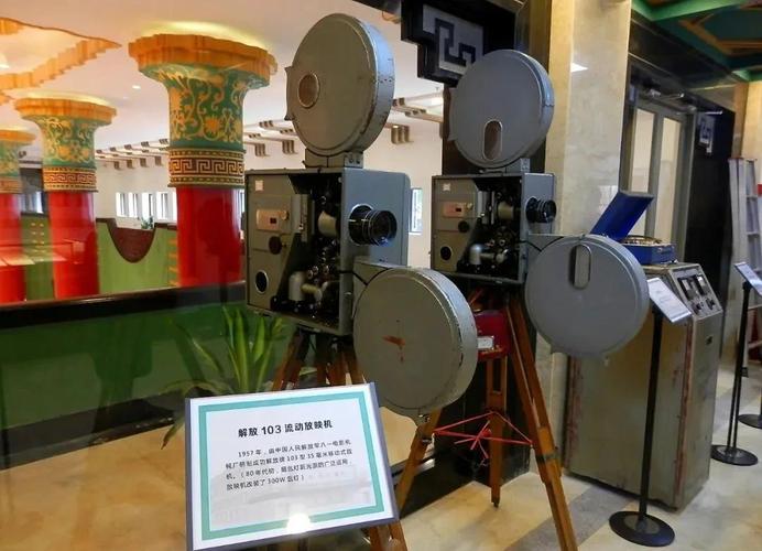 巴基斯坦毛片的相关介绍