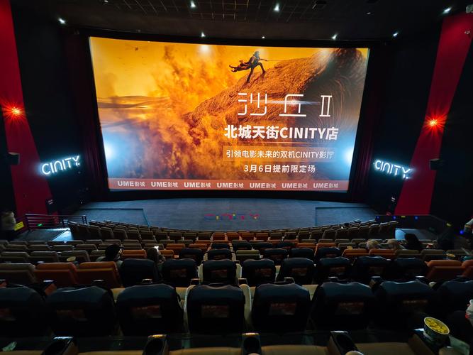 精品久久久激情影院的相关介绍