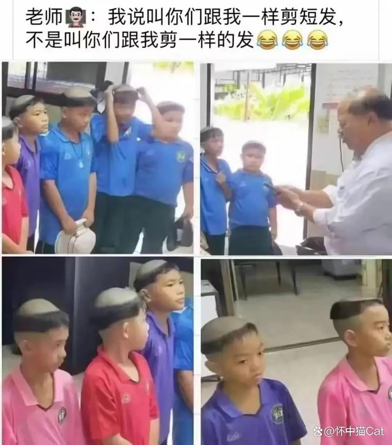 妹妹影院成人在线影院的相关介绍