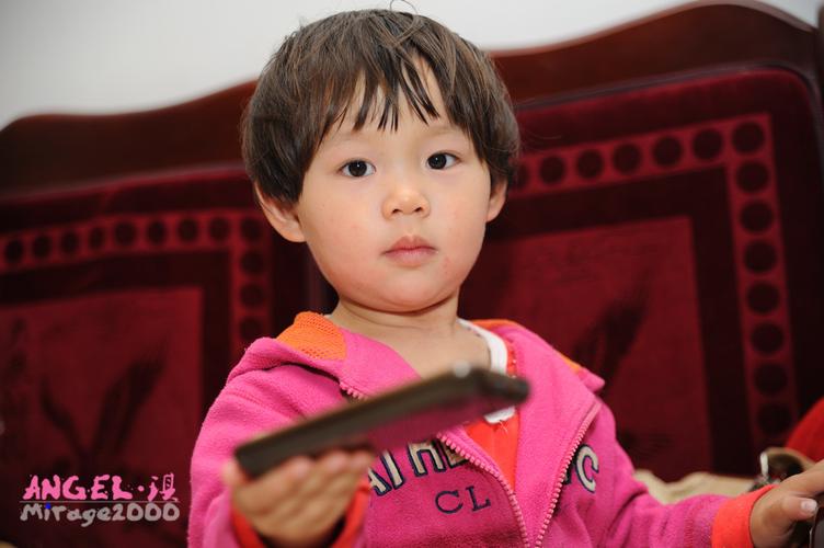 18禁动漫在线免费看的相关介绍