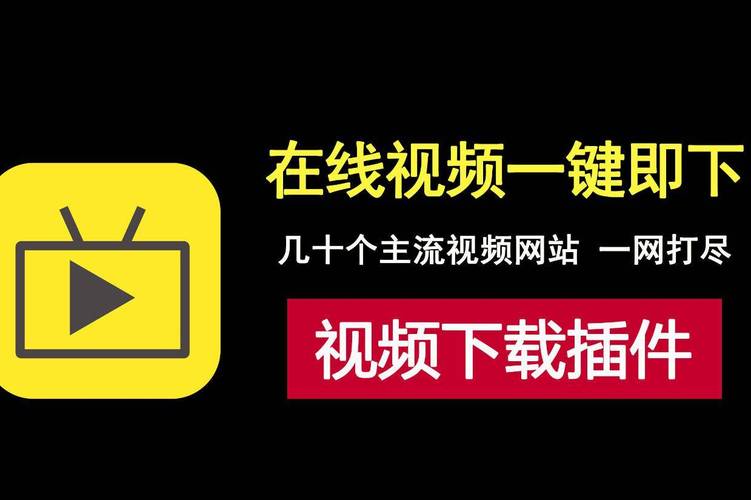 国产操大逼的相关介绍