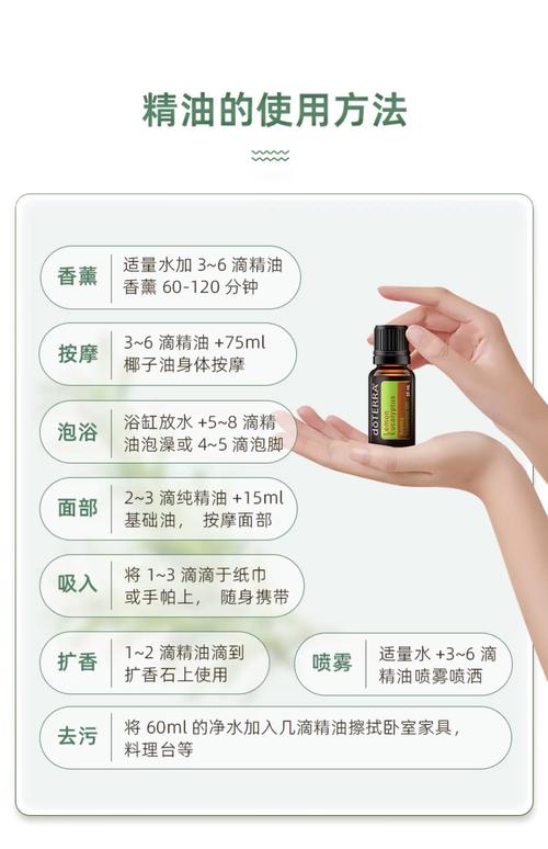 老司机影院在线看片的相关介绍