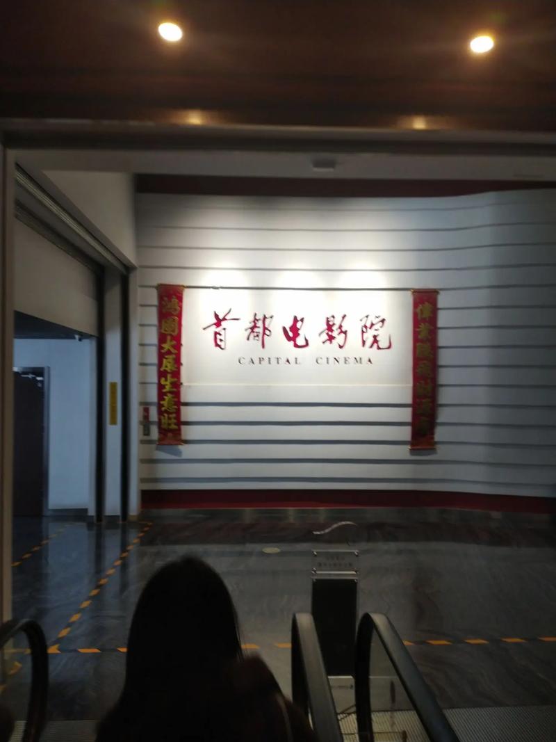 啪啪啪啪啪啪人妻的相关介绍