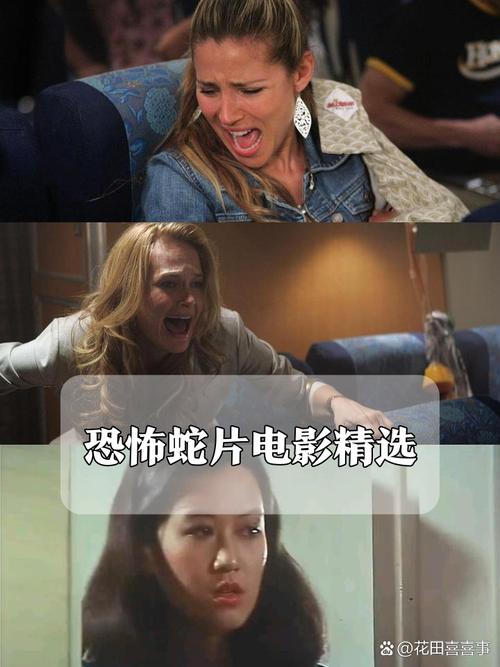 影院排片的相关介绍