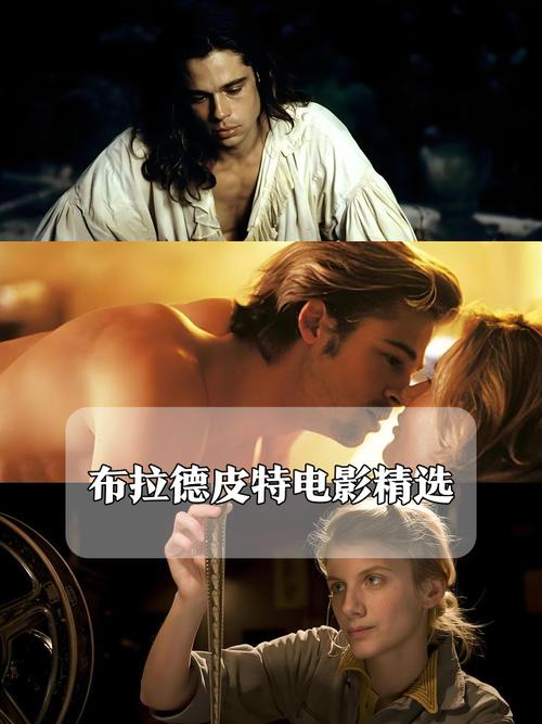 淫啪啪的相关介绍