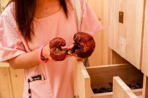 少妇人妻久久久久久97人安的相关介绍