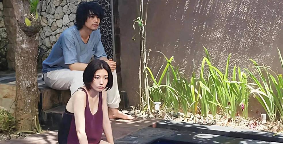看视频免费下载的app的相关介绍