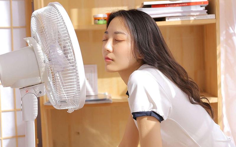 美女被老师操的相关介绍