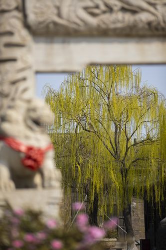 视觉影院的相关介绍