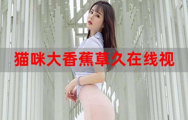 18模软件app的相关介绍