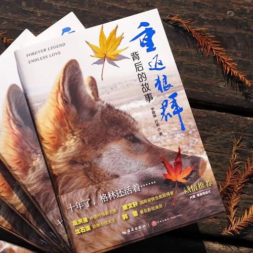 美女猛操操哭的相关介绍
