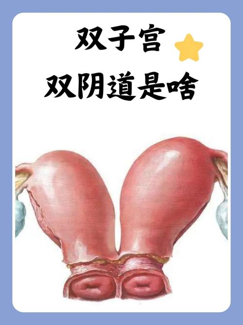 人妻打炮p的相关介绍