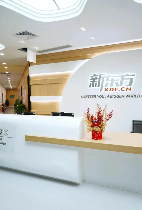 策驰影院 电视的相关介绍