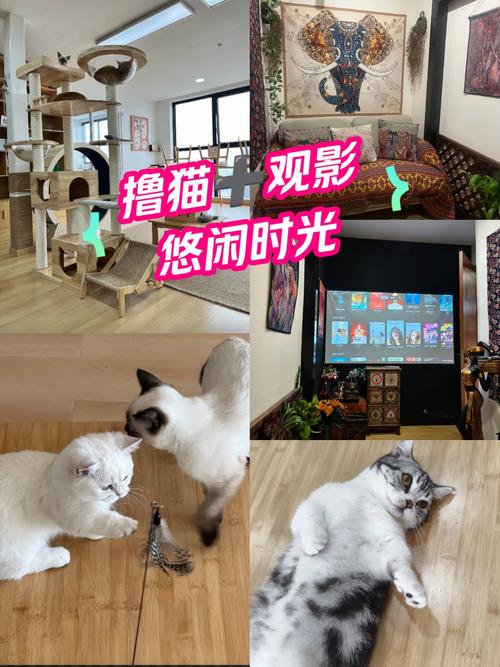 66j8影院的相关介绍