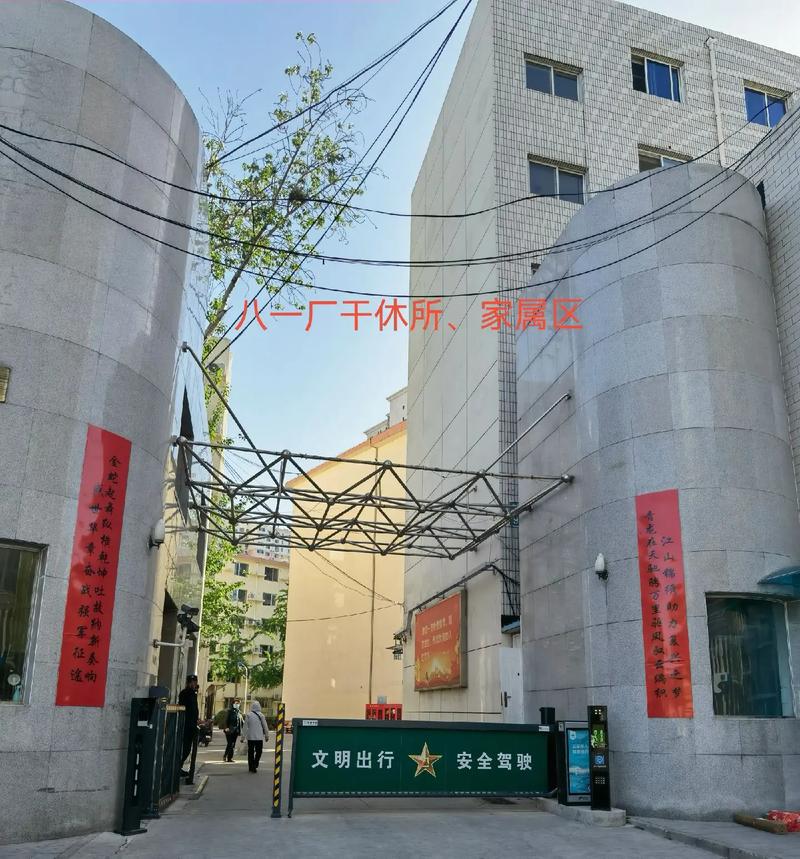 把美女操出白浆的相关介绍
