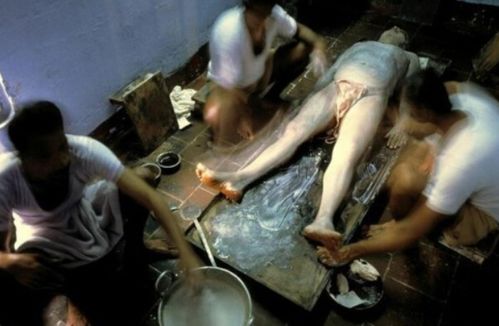 人妻啪啪视频的相关介绍