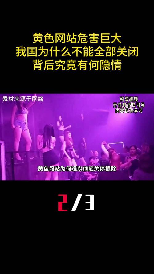 久久人妻少妇嫩草av蜜桃综合的相关介绍