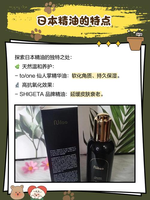不收费西欧毛片的相关介绍