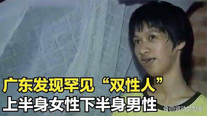 久久精品久久久久久的相关介绍