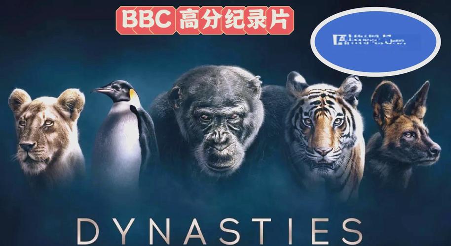 高老庄色伦影院的相关介绍
