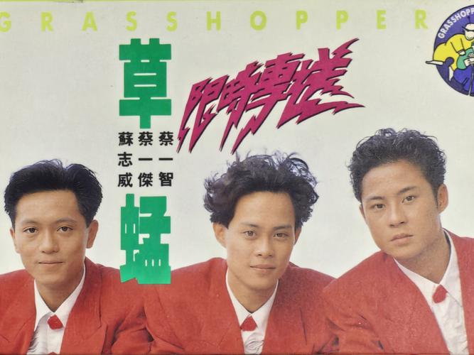 80老太婆毛片的相关介绍