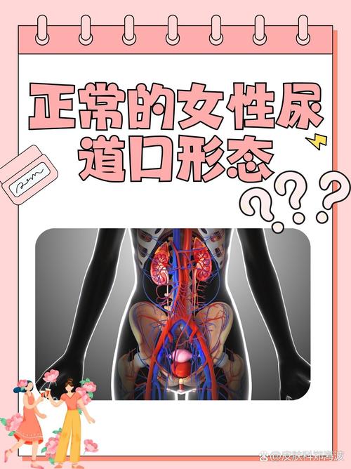 吉吉影院的相关介绍