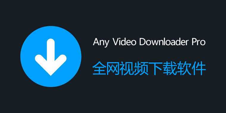 黑丝美腿av在线的相关介绍