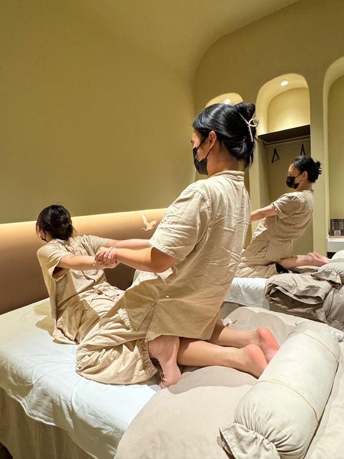 操美女逼动漫的相关介绍