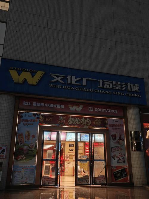 yy4410高清影院手机版的相关介绍