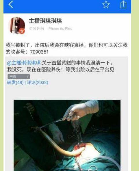 亚洲大尺度美女图的相关介绍