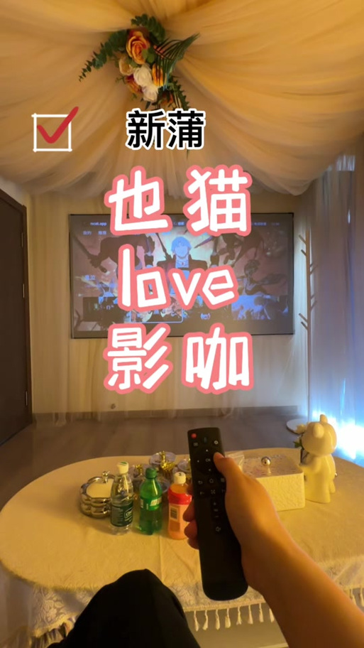 6080新视觉影院双世宠妃1的相关介绍