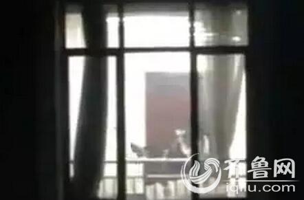色悠久久av的相关介绍