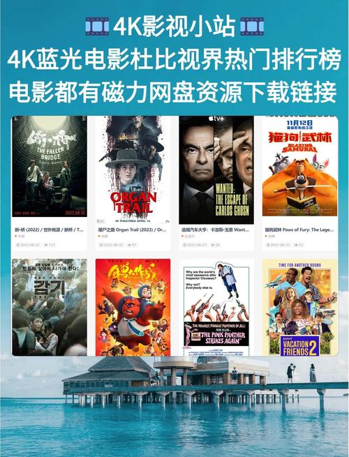 老司机福利影院福利直播的相关介绍