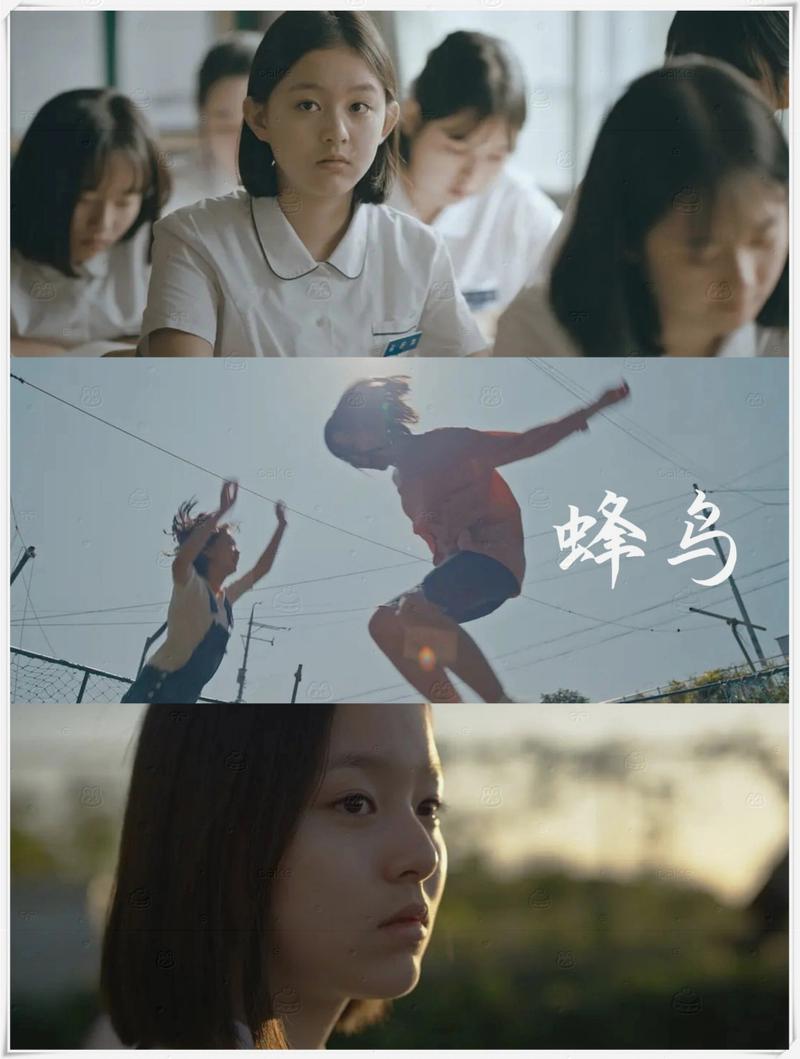 麻花影院官方的相关介绍